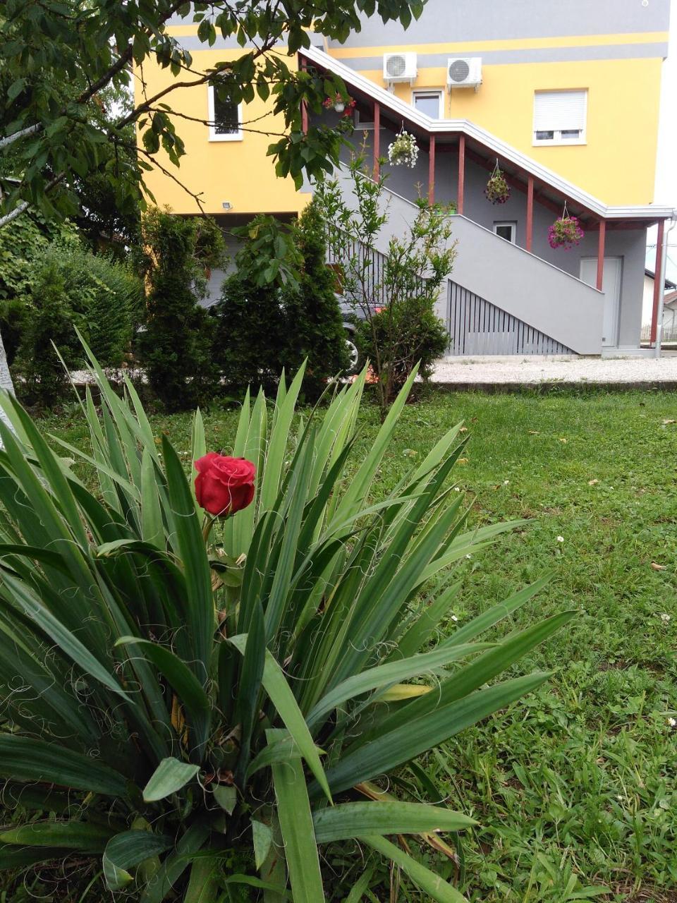 Apartmani Jasmina 2 Bihac Luaran gambar